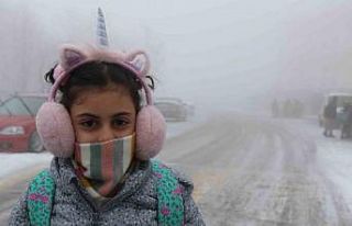 Erzincan’da sis, kar ve soğuk hava etkili oldu