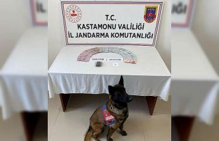 Evinde esrar maddesiyle yakalanan şahıs gözaltına...