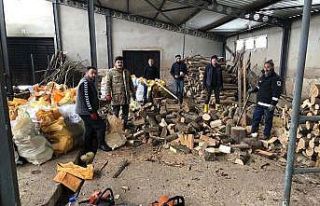 Fatsa’nın tüm mahallelerinde yakacak odun seferberliği...