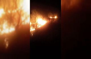 Gala Gölü Milli Parkı sazlık alanında çıkan...