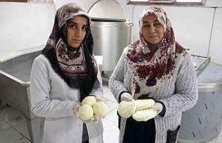 Gelin kaynana el ele verdi, peynir üretip satıyorlar