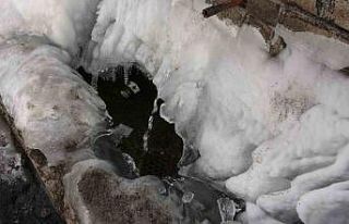 Göle eksi 21,3 derece: Araçlar soğuktan çalışmadı