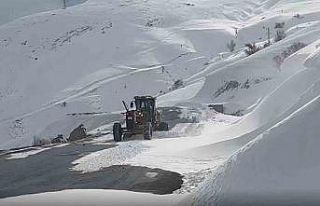 Hakkari’de 10 yerleşim yeri ulaşıma kapandı