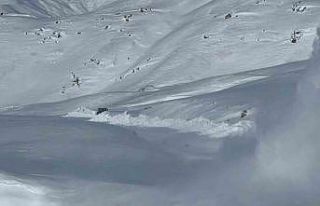 Hakkari’de 113 iş makinesiyle yollar tek tek açıldı