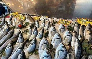 Havalar ısındı, balık fiyatları düştü