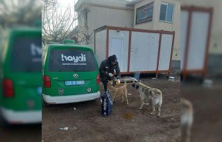 HAYDİ, deprem bölgesindeki can dostlarını yalnız...