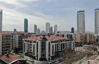 İzmirli depremzedeler, Mühendis ve Mimarlar Odalarının...