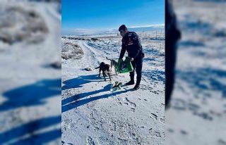Jandarma, can dostlarını unutmadı
