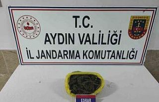 Jandarma ekipleri yarım kilo esrar yakaladı