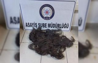 Kablo çalan şahıs yakalandı