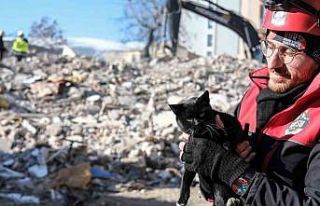 Kahramanmaraş’ta 174 saat sonra enkazdan ‘Ardıç’...
