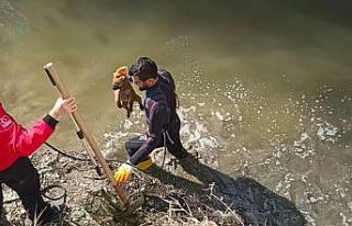 Kanala düşen yavru köpek arama kurtarma ekiplerince...