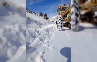 Kapalı 15 Mahalle Yolu Ulaşıma Açıldı