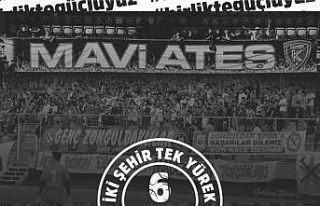 Karabük ve Zonguldak yaraları sarmak için yeşil...