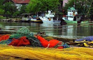 Karasu Somon Balığı İşleme Tesisi kurulacak