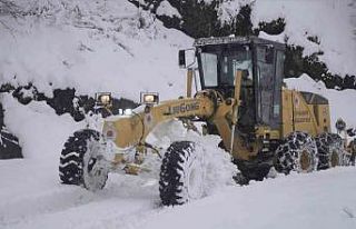 Kardan kapanan yollar açıldı