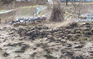 Kastamonu’da çıkan yangında arı kovanları son...