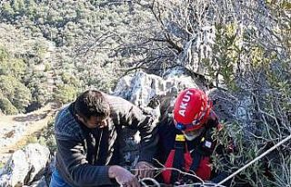 Kayalıklarda mahsur kalan keçileri AKUT kurtardı
