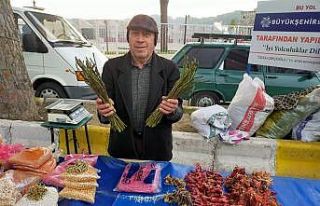 Kedirgenler pazarlardaki yerini aldı