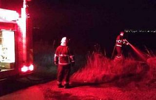 Kırklareli’de otluk alanda çıkan yangın söndürüldü