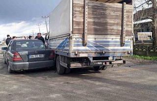 Köpeğe çarpmamak için manevra yapınca kamyonete...