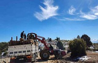 Korkuteli’den deprem bölgesine 11 kamyon odun yardımı