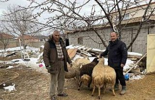 Kulu’da küçükbaş hayvan sahiplerinden depremzedeler...