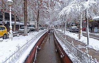 Malatya karlı bir güne uyandı