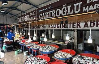 Marmara’da hamsinin zayıf kalması fiyatlara yansıdı