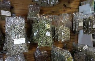 Mevsim geçişlerinde hastalıklardan korunma yolları