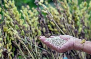 Muğla Tarım Güçbirliği’nin ilk satışı yurtdışına