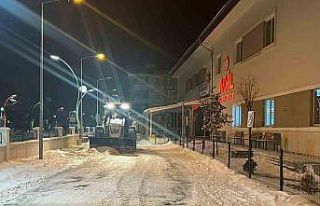Muradiye’de karla mücadele çalışması