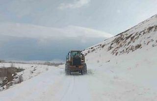 Muradiye’de yola düşen çığ temizlendi
