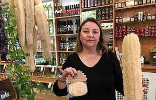 Mutfaklarda bulaşık süngerinin yerini kabak lifi...