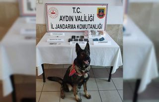 Nazilli’de fuhuş operasyonu