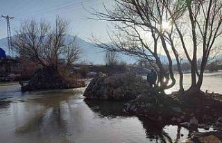 Nehirde mahsur kalan köpek kurtarıldı