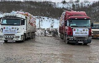 Ordu’dan deprem bölgelerine yardımlar sürüyor