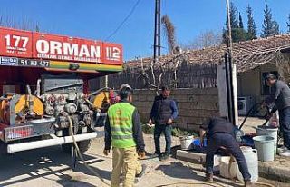 Orman muhafaza memurları deprem bölgesinde