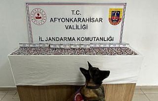 Otobüs terminalinden uyuşturucu dolu çantayı alır...