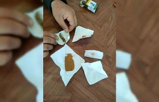 Otobüste yolculuk ederken jandarmaya takıldılar