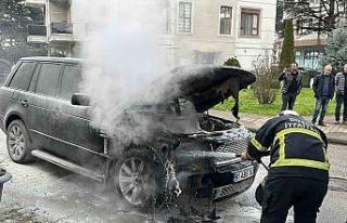 Park halindeki lüks cipte yangın çıktı