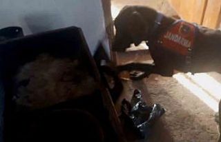 Patisiyle sobayı açan "Kaput" uyuşturucuyu...