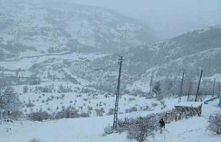 Posof’ta kar esareti