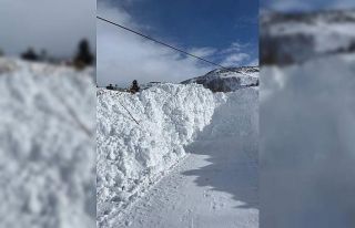 Posof’ta kar köy yollarını kapattı