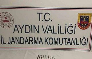Roma dönemine ait 86 parça tarihi eser yakalandı