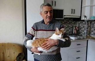 Rüyasına girdi, depremde mahsur kalan kedisini canı...