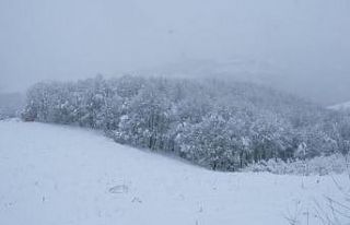 Samsun’un yüksek kesimlerinde kar kalınlığı...