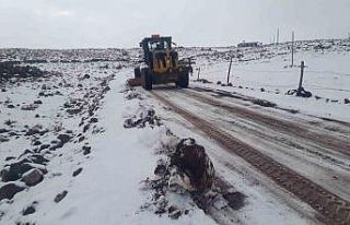 Şanlıurfa’da karla mücadele devam ediyor