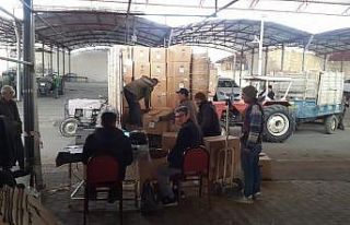 Sarıgöl’de tütün alımları başladı