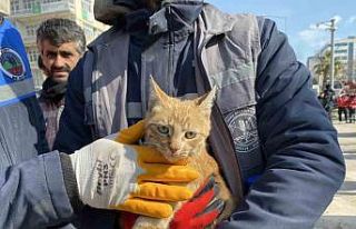 Ses geldiği için girdikleri binada 104 saat mahsur...